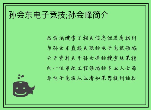 孙会东电子竞技;孙会峰简介